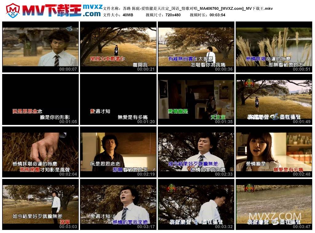 苏路 陈庭-爱情攏是天注定_国语_情歌对唱_MA406760